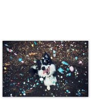 Ahşap Tablo Siyah Beyaz Çoban Köpeği