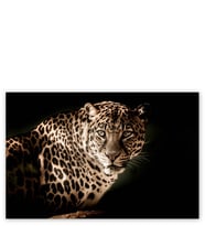 Ahşap Tablo Leopar Siyah Arkaplan