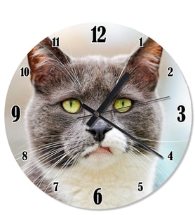 Boz Kedi Duvar Saati