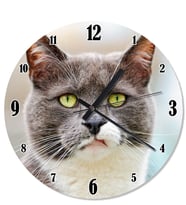 Boz Kedi Duvar Saati