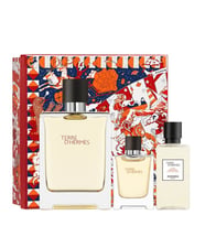 ら*い様 Hermès Terre d'Hermès セット100ml 40ml Hermes Terre D Hermes 100Ml Edt Erkek Parfüm Set- Çiçeksepeti