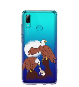 Kılıfland Huawei P Smart 2019 Kılıf Silikon Desenli Resimli Lüx Kapak Eagles Familiy -Stok 360