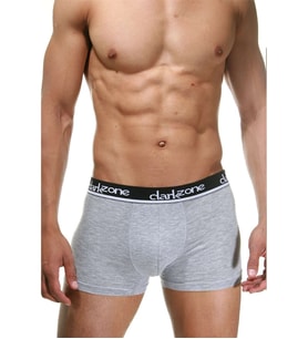Darkzone Klasik Boxer (Gri)
