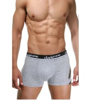 Darkzone Klasik Boxer (Gri)