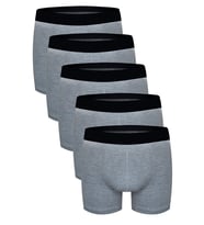 Darkzone 5'Li Boxer (Gri)