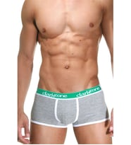 Darkzone Biyeli Boxer (Gri)