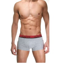 Darkzone Yan Biyeli Boxer (Gri)