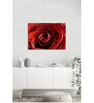 Tablosan  Kırmızı Gül Fotoğraf Kanvas Tablo - A-03-241