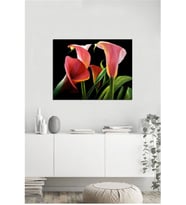 Tablosan  Dekoratif Çiçek Fotoğraf Kanvas Tablo - A-03-493