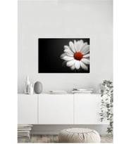 Tablosan  Papatya Fotoğraf Kanvas Tablo - A-03-222