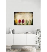 Tablosan  Renkli Güller Fotoğraf Kanvas Tablo - A-03-345