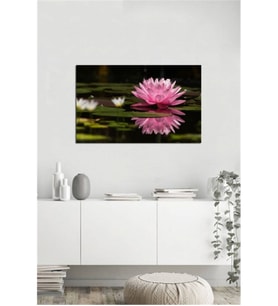 Tablosan  Nilüfer Fotoğraf Kanvas Tablo - A-03-382