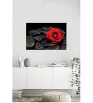 Tablosan  Taş Üzerinde Kırmızı Çiçek Fotoğraf Kanvas Tablo - A-03-226