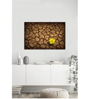 Tablosan  Toprak Üzerinde Çiçek Fotoğraf Kanvas Tablo - A-03-225