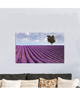 Tablosan Lavanta Tarlası Fotoğraf Kanvas Tablo - A-20-242