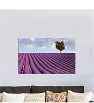 Tablosan Lavanta Tarlası Fotoğraf Kanvas Tablo - A-20-242