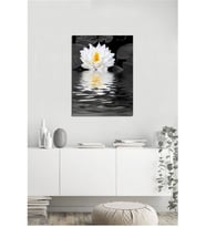 Tablosan  Su Üzerinde Papatya Fotoğraf Kanvas Tablo - A-03-218