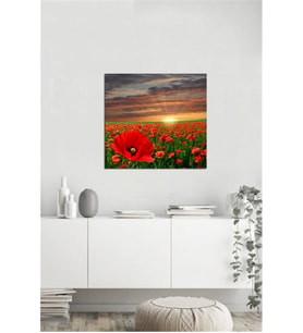 Tablosan  Gelincik Tarlası Fotoğraf Kanvas Tablo - A-03-511