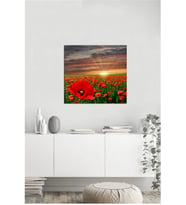 Tablosan  Gelincik Tarlası Fotoğraf Kanvas Tablo - A-03-511