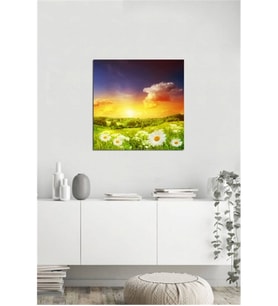 Tablosan  Papatya Tarlası Fotoğraf Kanvas Tablo - A-03-364