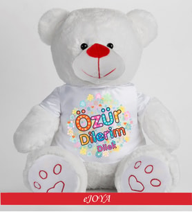 Kişiye Özel Özür Dilerim Temalı 50Cm Ayıcık 81879 81879