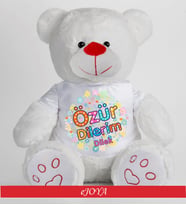 Kişiye Özel Özür Dilerim Temalı 50Cm Ayıcık 81879 81879