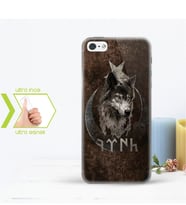 Iphone 5 - 5S İnce Şeffaf Silikon Telefon Kapağı (Göktürkçe TÜRK Yazısı-1)