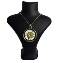 Cam İçinde Papatya Kolye Ps0336