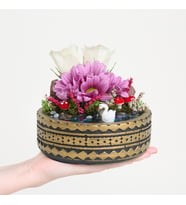 Ring Saksıda Beyaz Gül ve Papatya Teraryum