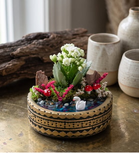 Ring Saksıda Beyaz Kalanchoe Teraryum