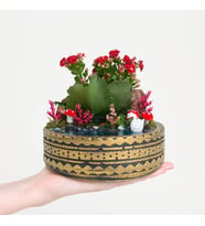 Ring Saksıda Kırmızı Kalanchoe Teraryum
