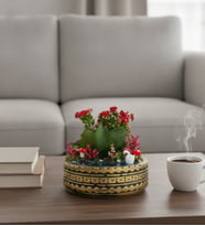 Ring Saksıda Kırmızı Kalanchoe Teraryum