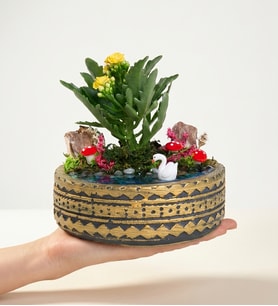 Ring Saksıda Sarı Kalanchoe Teraryum