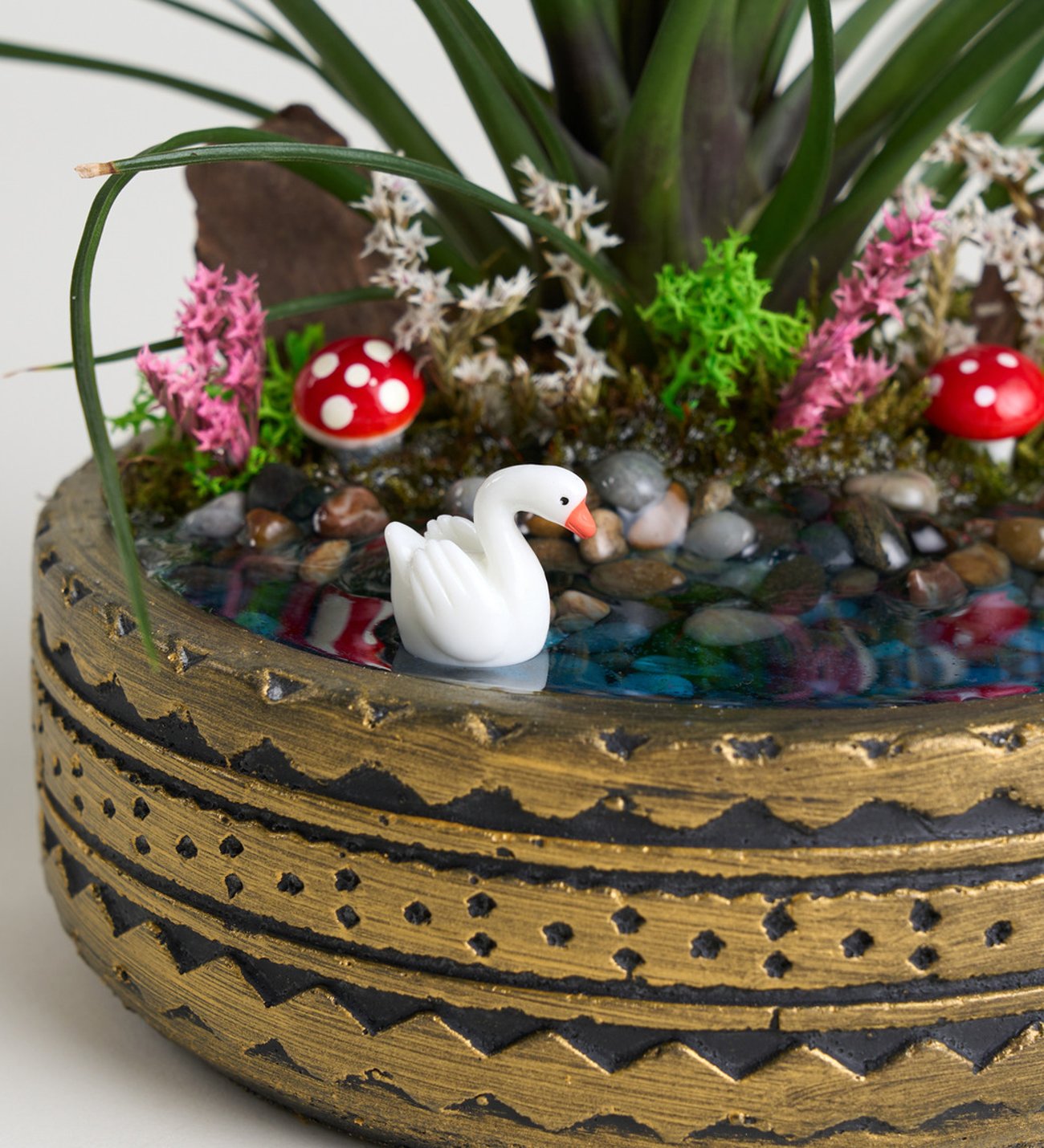 Ring Saksıda Tillandsia - Hava Çiçeği Teraryum