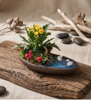 Dekor Saksıda Sarı Kalanchoe Teraryum