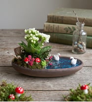 Dekor Saksıda Beyaz Kalanchoe Teraryum