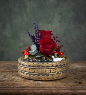 Ring Saksıda Kırmızı Gül ve Lavantalı Teraryum