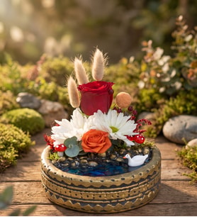 Ring Saksıda Güllü ve Papatyalı Teraryum