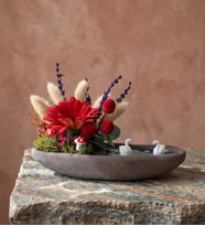 Dekor Saksıda Kırmızı Gerbera & Craspedia Teraryum