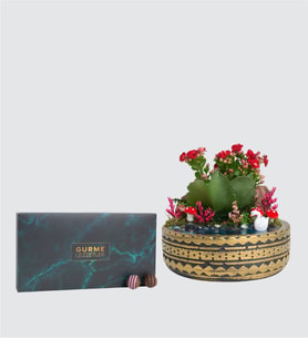 Ring Saksıda Kalanchoe ve Yeşil Gurme Lezzetler
