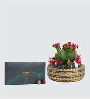 Ring Saksıda Kalanchoe ve Yeşil Gurme Lezzetler