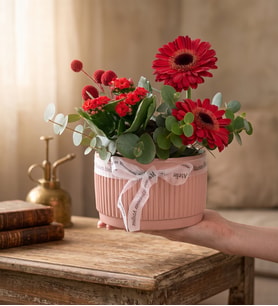 Kiremit Saksıda Kırmızı Gerberalar ve Kalanchoe