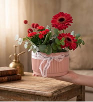 Kiremit Saksıda Kırmızı Gerberalar ve Kalanchoe 