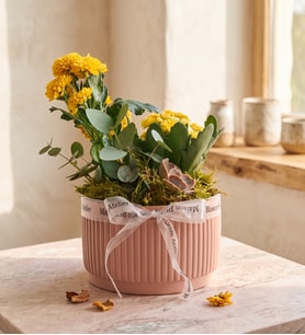 Kiremit Saksıda Sarı Kalanchoe ve Echeveria