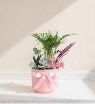 Pembe Beton Saksıda Chamaedorea Elegans ve Güller