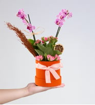 Turuncu Kutuda Mini Mor Orkide ve Pembe Kalanchoe