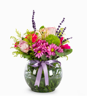 Akvaryumda Lila Pembe Güller & Dianthus Green Trick