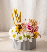 Gri Polimer Saksıda Pembe Lilyum & Beyaz Papatyalar