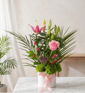 Beyaz Polimer Saksıda Pembe Lilyum ve Gül
