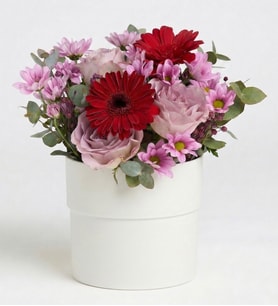 Beyaz Saksıda Papatya&Gerbera ve Güller
